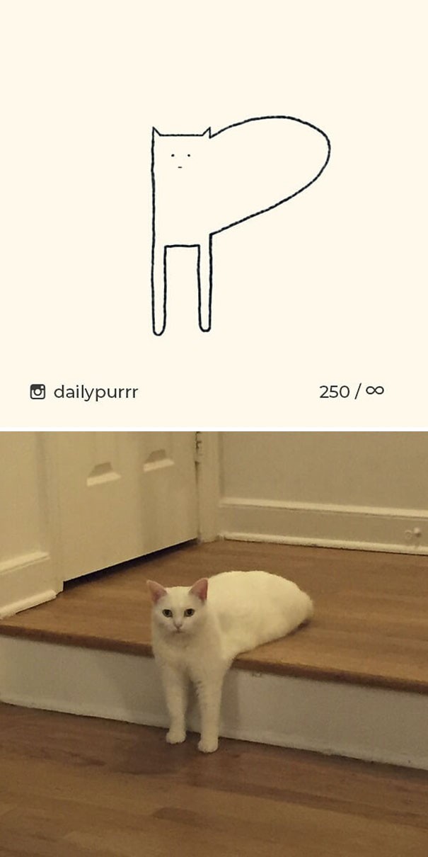 Instagram với cách vẽ mèo trong 2 nốt nhạc khiến Internet thích thú - Ảnh 2.