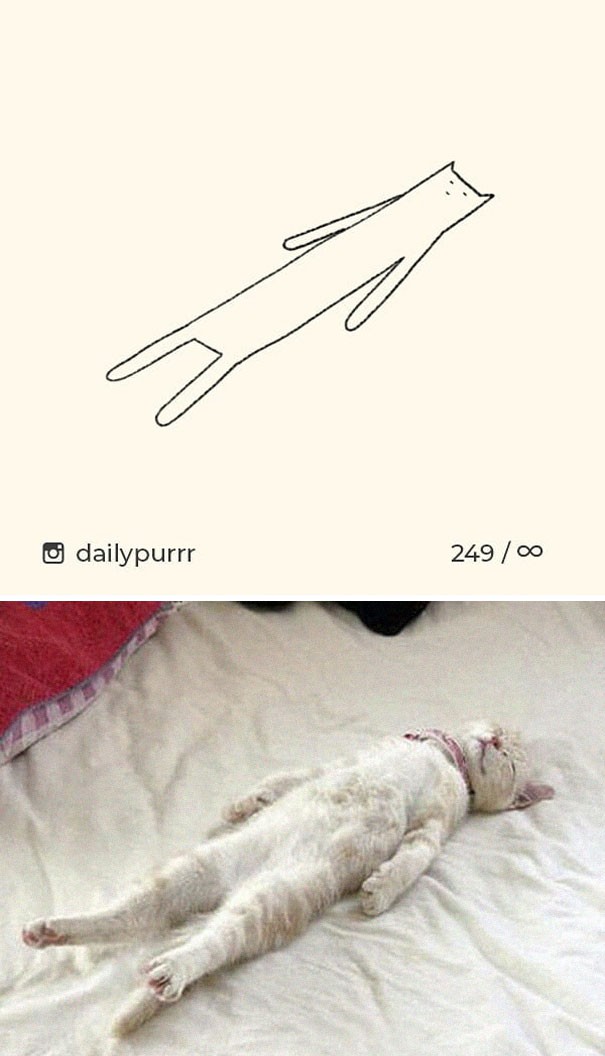 Instagram với cách vẽ mèo trong 2 nốt nhạc khiến Internet thích thú - Ảnh 7.