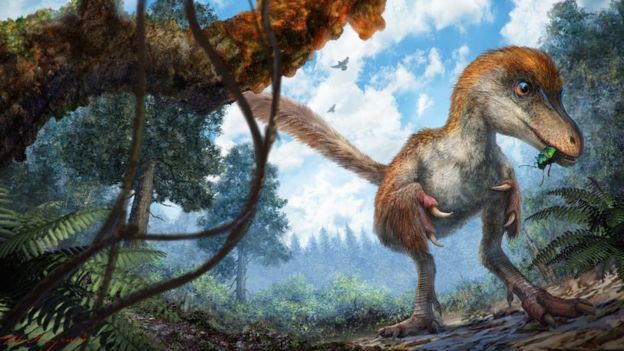 Phát hiện đuôi của khủng long 99 triệu năm tuổi được bảo toàn nguyên vẹn trong hổ phách - Ảnh 1.
