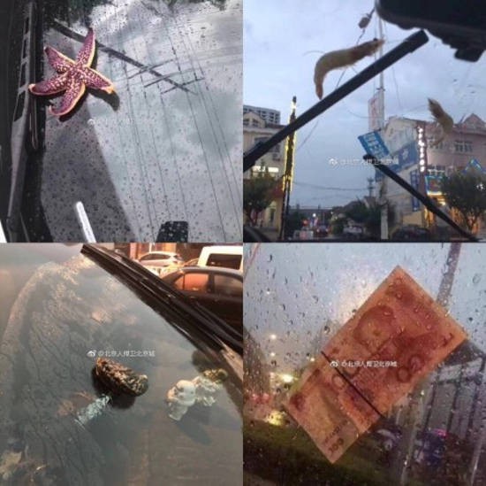 Trung Quốc: Bão lớn khiến hải sản tươi sống trút xuống như mưa trên đường phố - Ảnh 4.