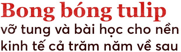 Một khóm hoa tulip dính virus đã tạo nên bong bóng tài chính nổi tiếng nhất lịch sử nhân loại như thế nào? - Ảnh 8.