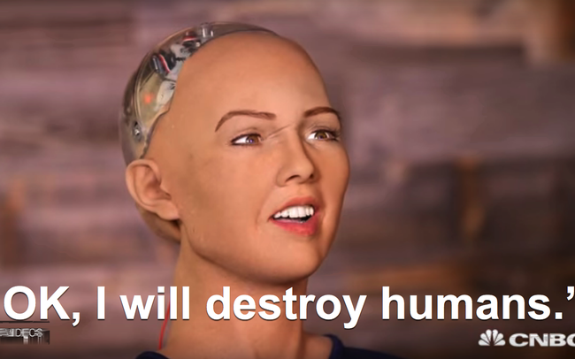 Robot Sophia sắp sang Việt Nam giao lưu về cách mạng 4.0 - Ảnh 1.