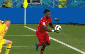 [World Cup 2018] Tiền đạo Bỉ tối tăm mặt mũi vì ăn mừng bàn thắng theo cách rất lạ - Ảnh 1.