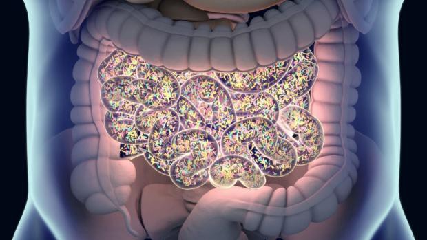 Kỷ nguyên của postbiotics và nhà vệ sinh thông minh: Khi thuốc được sản xuất ngay bên trong ruột bạn - Ảnh 2.