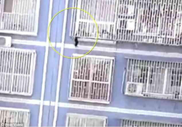 Lại xuất hiện thêm 1 Spider-Man tay không leo 5 tầng nhà để cứu em bé treo lơ lửng tại Trung Quốc - Ảnh 1.