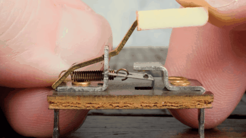 Cha đẻ của phím cơ Cherry và đế chế xây nên từ một nút bấm nhỏ bé - Ảnh 6.