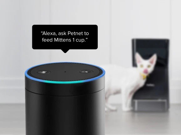 Vũ khí bí mật để các trợ lí AI mới chống lại Alexa chính là sự riêng tư - Ảnh 2.