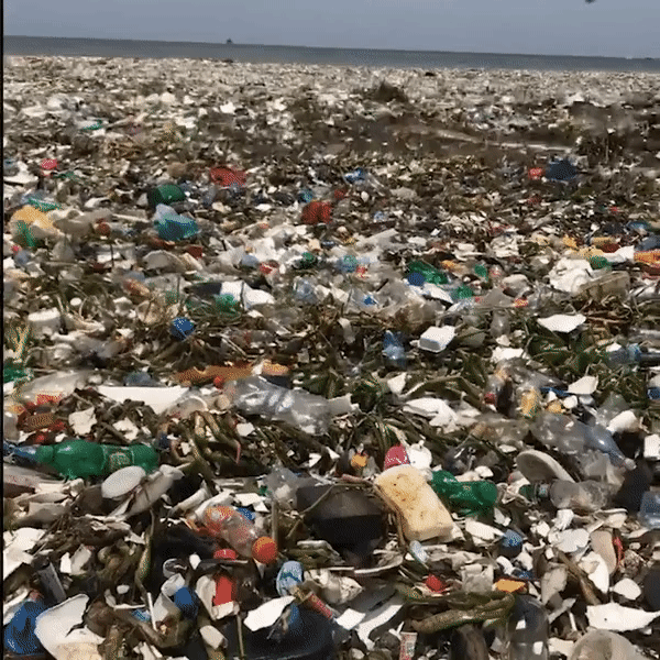 Clip bãi biển nhiều rác tới mức sóng không đánh nổi ở Dominica gióng lên hồi chuông cảnh tỉnh về ô nhiễm môi trường - Ảnh 2.