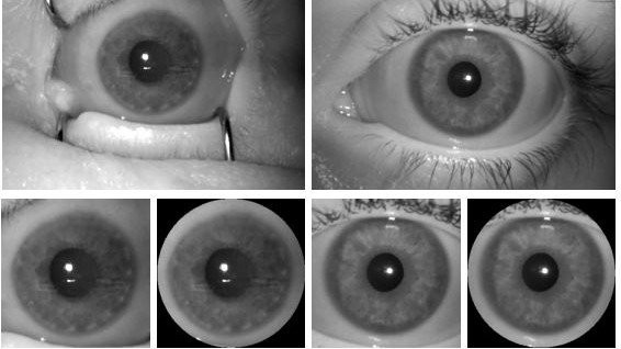 Nghiên cứu mới: công nghệ quét mống mắt có thể phân biệt được mắt người sống và người chết, độ chính xác lên tới 99% - Ảnh 3.
