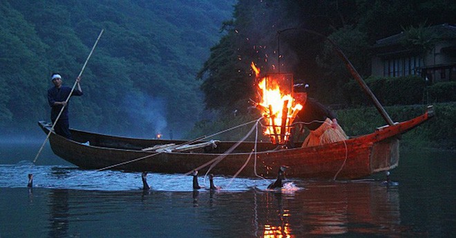Đây là cách đánh cá độc đáo giúp người Nhật được UNESCO vinh danh - Ảnh 2.