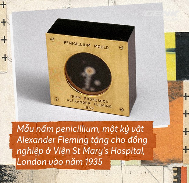 Ngày này đúng 90 năm về trước: có phải Alexander Fleming đã mở ra kỷ nguyên kháng sinh? - Ảnh 2.