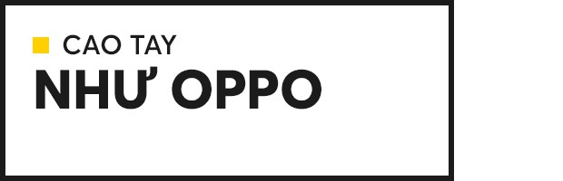 Nhìn thấu bản chất: Vì sao Xiaomi ra mắt Poco, Oppo sinh thêm Realme, hãy nhìn bài học từ xe hơi Nhật Bản - Ảnh 8.