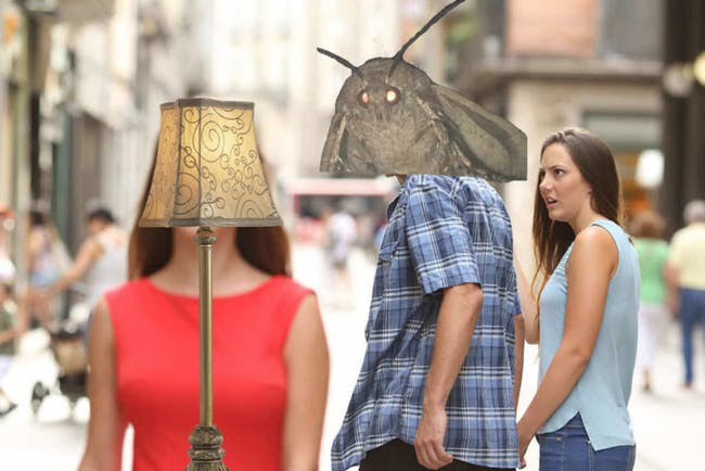 Nguồn gốc của loạt meme bướm đêm và chiếc đèn đang khuynh đảo Internet - Ảnh 7.