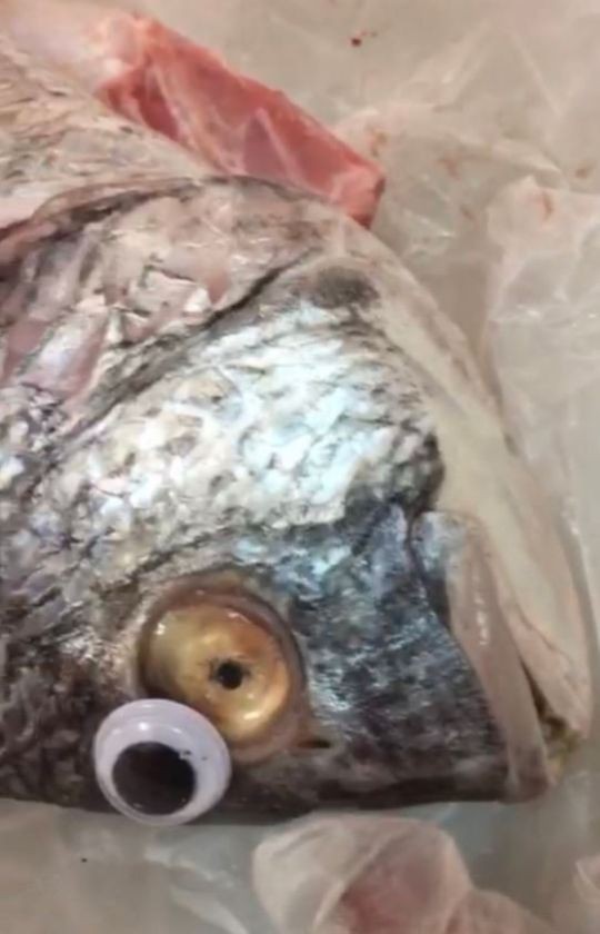 Gian thương ở Kuwait dán mắt nhựa biến cá ươn thành cá tươi - Ảnh 2.