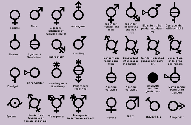  Một bảng phân chia nhận dạng giới tính, có tới hàng chục giới tính khác nhau 