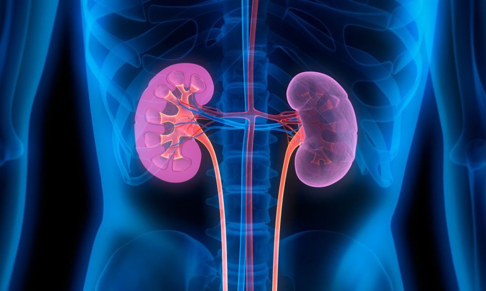 Đây là 7 cơ quan nội tạng trên người có thể cắt bỏ mà vẫn sống sót
