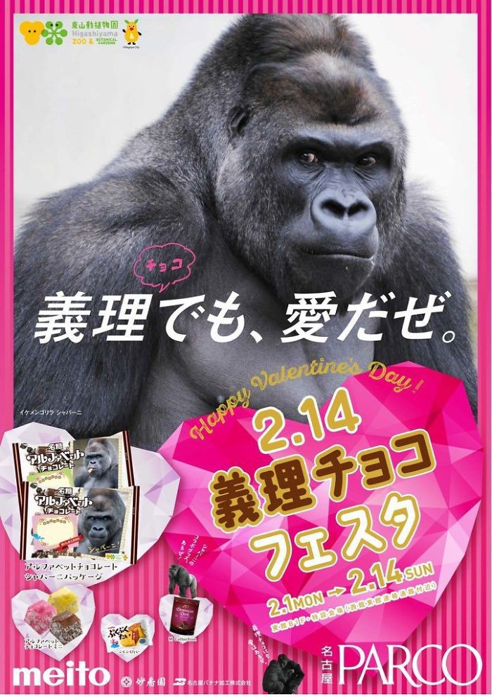 Đây là chú khỉ đột đẹp trai nhất Nhật Bản, được ví như George Clooney, Steve Jobs của thế giới động vật - Ảnh 16. Đây là chú khỉ đột đẹp trai nhất Nhật Bản, được ví như George Clooney, Steve Jobs của thế giới động vật - Ảnh 16.