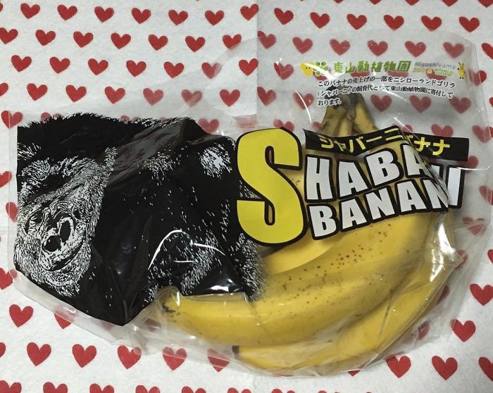 Đây là chú khỉ đột đẹp trai nhất Nhật Bản, được ví như George Clooney, Steve Jobs của thế giới động vật - Ảnh 18. Đây là chú khỉ đột đẹp trai nhất Nhật Bản, được ví như George Clooney, Steve Jobs của thế giới động vật - Ảnh 18.