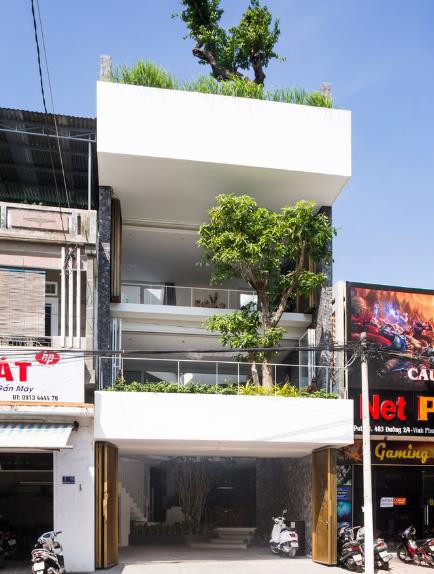 Nhà phố ở Nha Trang gây sốt với thiết kế xanh mướt nhờ những miệt vườn nhỏ - Ảnh 1.