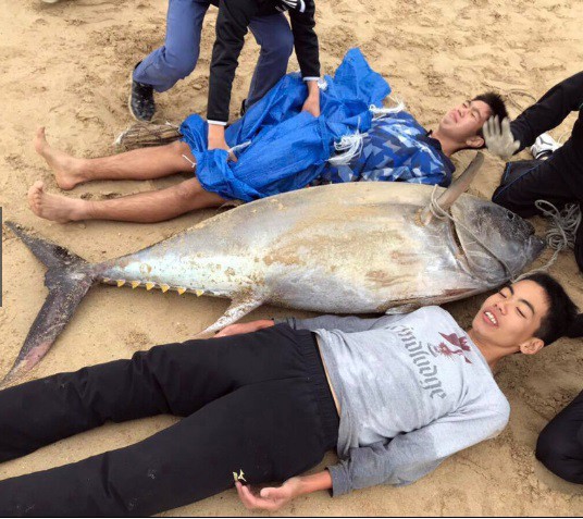 Không có dụng cụ, 2 học sinh cấp III ở Nhật tay không đấm ngất con cá ngừ nặng 1 tạ - Ảnh 2.