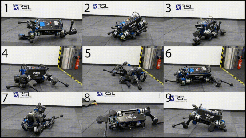 Chó robot của Thụy Sỹ không ngã khi bị người đạp, nếu ngã biết tự lật đứng dậy - Ảnh 3.