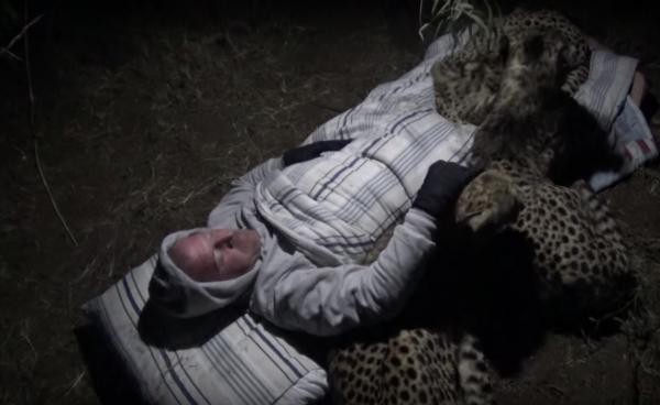 Liều mạng ngủ giữa rừng rậm châu Phi, người đàn ông được cả bầy báo săn vây quanh sưởi ấm - Ảnh 7.