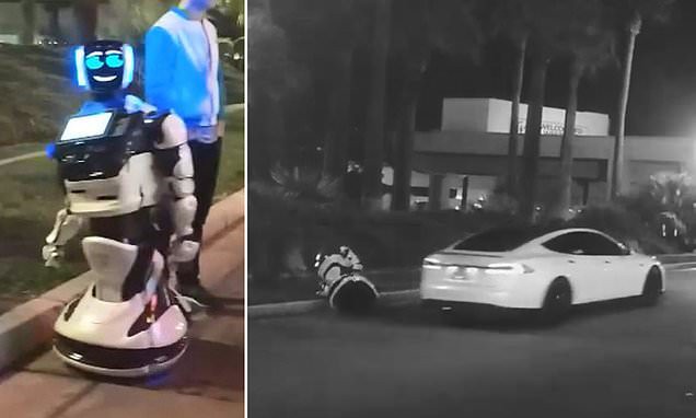 1 con robot bị xe tự lái Tesla tông chết, không thể tham dự CES 2019 - Ảnh 2.