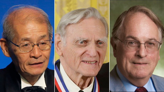 Giải Nobel Hóa học 2019 thuộc về 3 nhà khoa học đi tiên phong trong công nghệ pin Lithium-Ion - Ảnh 1.
