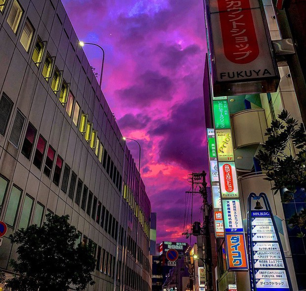 Trước siêu bão Hagibis đổ bộ, xôn xao loạt hình ảnh bầu trời Nhật Bản bất ngờ chuyển sang màu tím kì lạ - Ảnh 5.