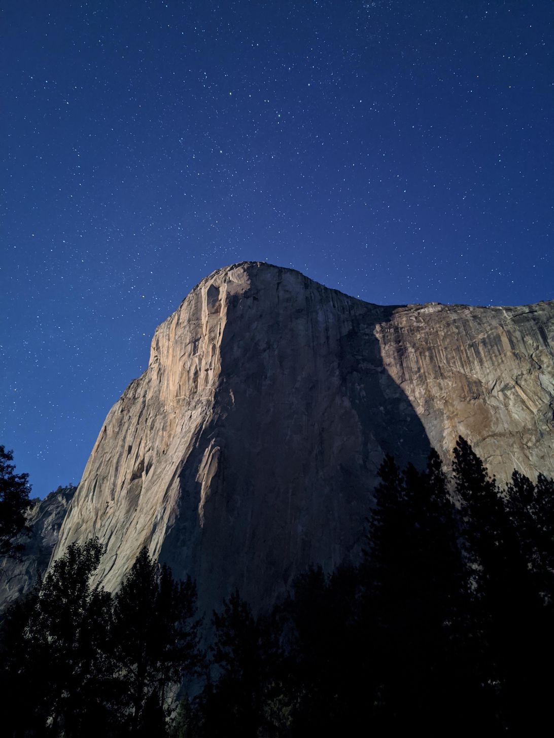 Nh&igrave;n những bức ảnh phi thường từ Pixel 4, &iacute;t người nghĩ đ&oacute; l&agrave; ảnh chụp bằng điện thoại - Ảnh 10.