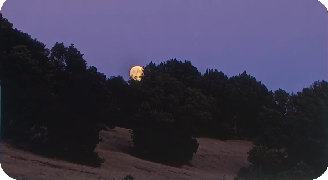 Nh&igrave;n những bức ảnh phi thường từ Pixel 4, &iacute;t người nghĩ đ&oacute; l&agrave; ảnh chụp bằng điện thoại - Ảnh 15.