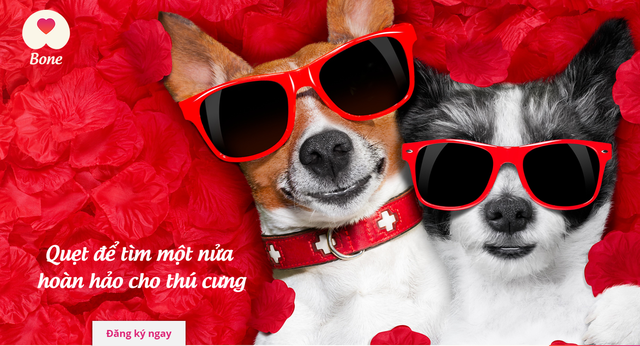 Get Bone - ứng dụng hẹn hò dành cho thú cưng đầu tiên tại Việt Nam lấy cảm hứng từ Tinder: Ý tưởng đột phá sáng tạo hay ‘ăn no rửng mỡ’? - Ảnh 2.