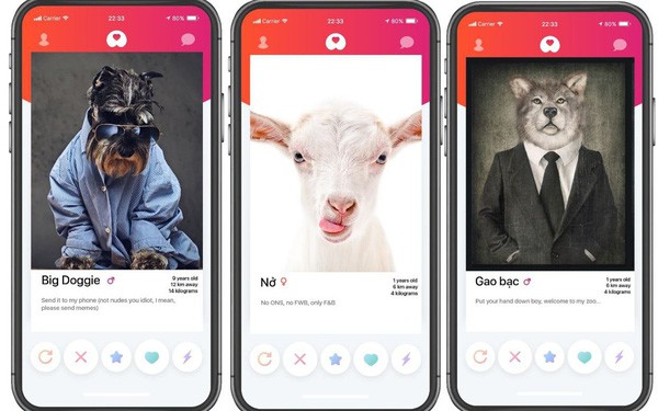 Get Bone - ứng dụng hẹn hò dành cho thú cưng đầu tiên tại Việt Nam lấy cảm hứng từ Tinder: Ý tưởng đột phá sáng tạo hay ‘ăn no rửng mỡ’? - Ảnh 1.