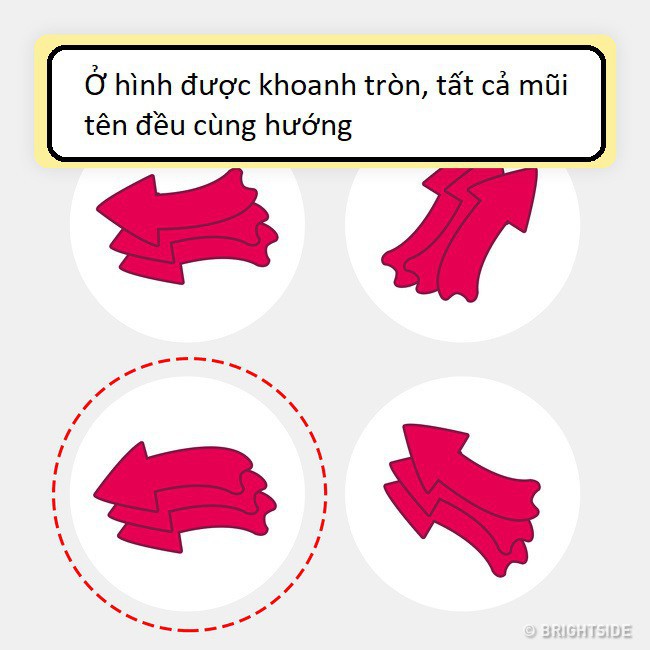 11 câu đố không dành cho người kém thông minh, bạn có muốn thử tài không? - Ảnh 18.