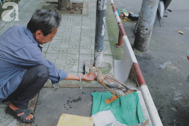  Câu chuyện kỳ lạ về tình mẫu tử của người phụ nữ bán trái cây và chú vịt biết làm nũng ở Sài Gòn - Ảnh 13.