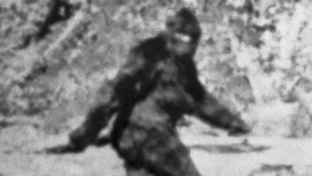 Xuất hiện video ghi lại tiếng hú lạ kỳ của Bigfoot, chứng minh sinh vật huyền bí này thật sự tồn tại - Ảnh 1.