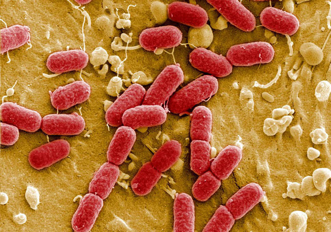 Báo cáo của CDC tuyên bố: Nước Mỹ đã bước vào thời kỳ hậu kháng sinh - Ảnh 3.