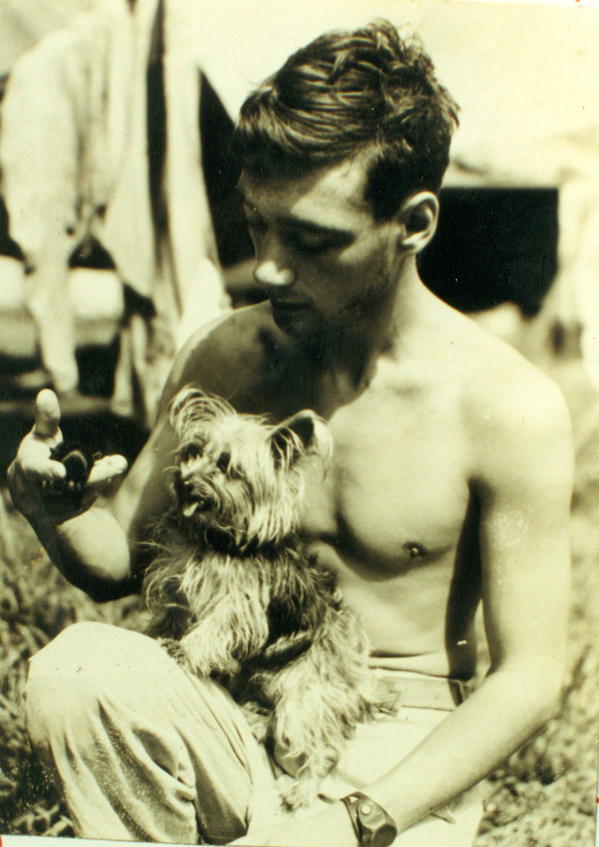 Chú chó tí hon bỗng chốc trở thành siêu chiến binh trong Thế chiến II - Ảnh 2. Chú chó tí hon bỗng chốc trở thành siêu chiến binh trong Thế chiến II - Ảnh 2.