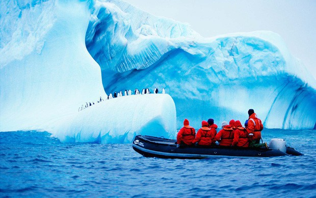 Nam Cực đang trở thành điểm du lịch hút khách mới trong tương lai, nghe thì vui nhưng đó lại là 1 dấu hiệu đáng buồn cho Trái Đất - Ảnh 13.