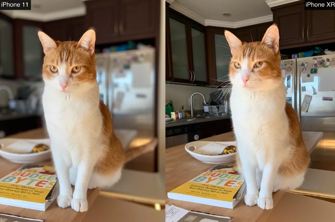 So s&aacute;nh camera iPhone: iPhone 11 với ma thuật Deep Fusion vs. iPhone XR - Ảnh 18.