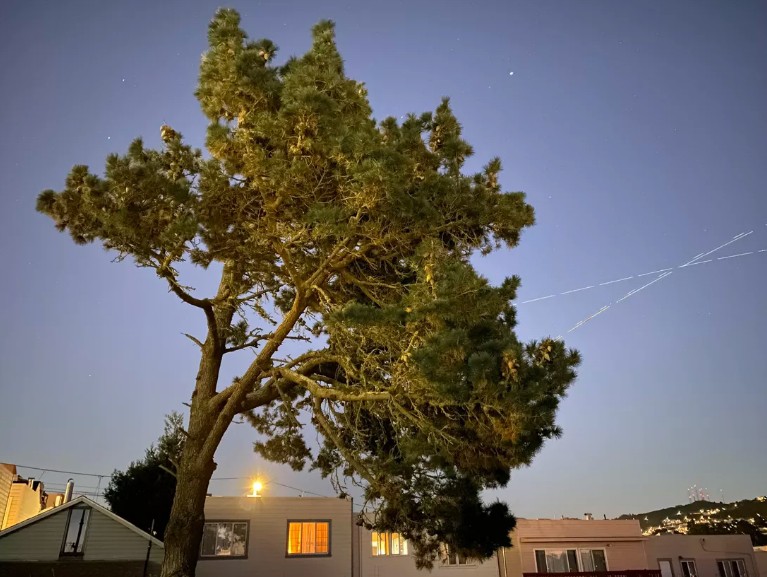 So s&aacute;nh camera iPhone: iPhone 11 với ma thuật Deep Fusion vs. iPhone XR - Ảnh 28.