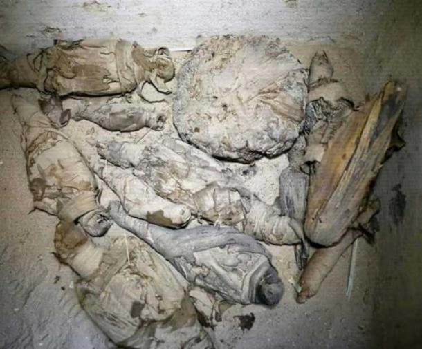 Khai quật mộ cổ Ai Cập 2.500 năm tuổi, bất ngờ phát hiện bên trong chứa hàng chục xác ướp mèo - Ảnh 1.