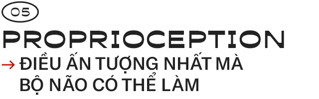 Giải mã những bí ẩn về proprioception, giác quan thứ sáu của tất cả chúng ta - Ảnh 11.