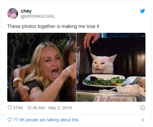 Chú mèo trắng Smudge đã sản sinh ra chiếc meme đình đám cô gái la con mèo như thế nào - Ảnh 3.