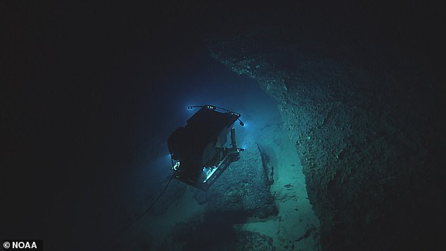 Dùng thiết bị lặn khám phá đáy đại dương tăm tối, tình cờ phát hiện loài cá kì lạ có thể đứng bằng chân - Ảnh 2.