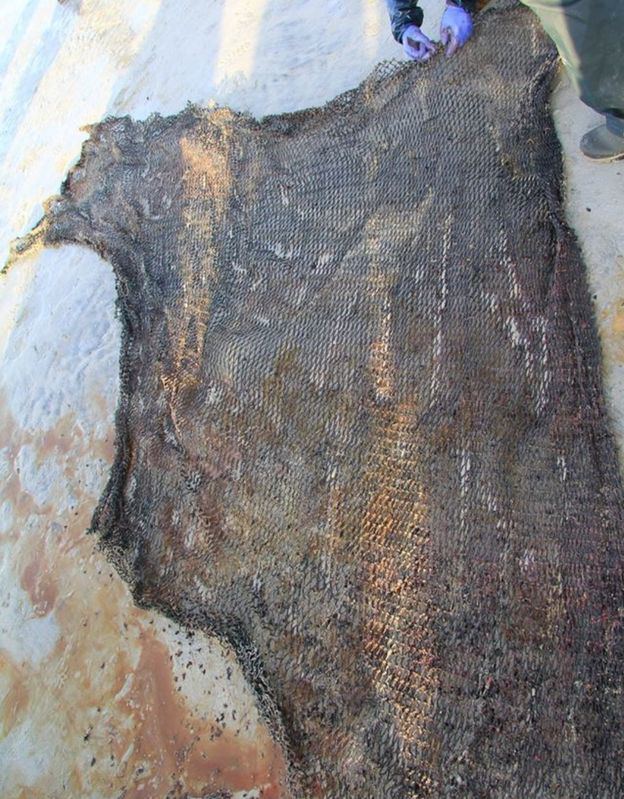 Con cá voi chết bên bờ biển Scotland với 100 kg rác thải trong bụng - Ảnh 4.