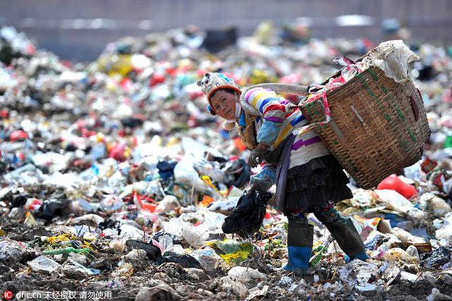 Nghệ thuật xử lý rác ở đất nước siêu sạch Singapore: 90% rác biến thành điện, 10% trở thành đảo du lịch - Ảnh 5.