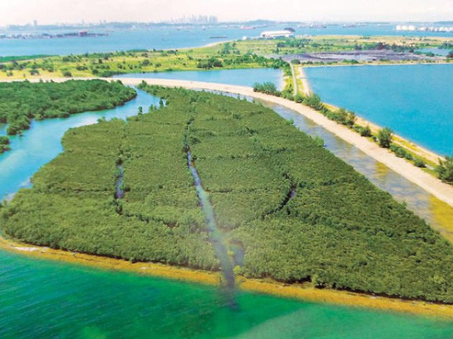 Nghệ thuật xử lý rác ở đất nước siêu sạch Singapore: 90% rác biến thành điện, 10% trở thành đảo du lịch - Ảnh 6.