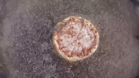 Clip không nên xem khi đang nhâm nhi bánh Tết: 10.000 ấu trùng ruồi thi nhau xơi miếng pizza vì mục đích khoa học - Ảnh 1.