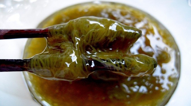 Giải m&atilde; th&agrave;nh c&ocirc;ng bộ gene sinh vật nhớp nh&aacute;p nổi tiếng nhất Nhật Bản v&agrave; đ&acirc;y l&agrave; &yacute; nghĩa của n&oacute; - Ảnh 1.